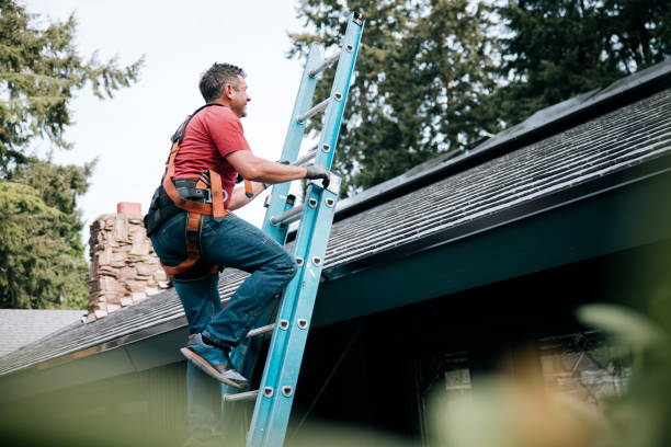 Best Roof Ventilation Installation  in San Ysidro, NM